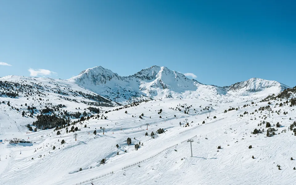 Nevades