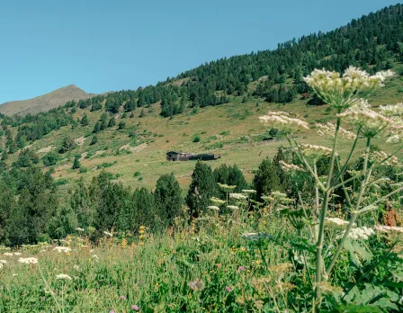 Refuge de Sorteny