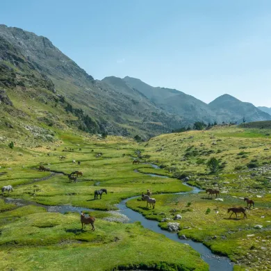 reserva de la biosfera andorra