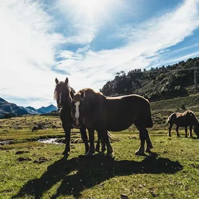 Things to do in Andorra