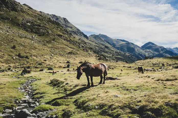 Ordino Arcalís