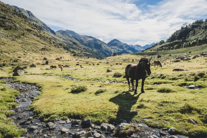 Ordino Arcalís