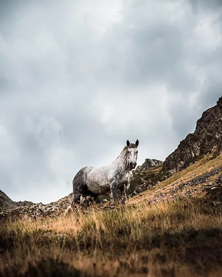 Ordino arcalis estiu