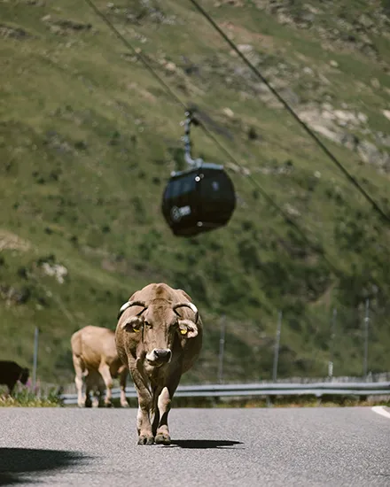 Ordino arcalis estiu