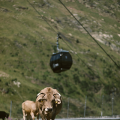 Ordino arcalis estiu